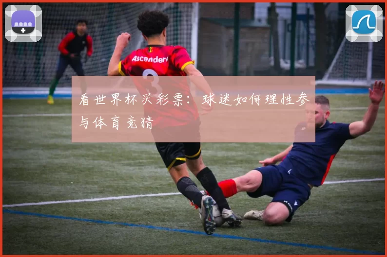 看世界杯买彩票:球迷如何理性参与体育竞猜