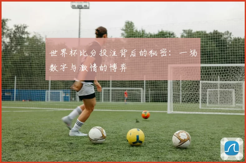 世界杯比分投注背后的秘密:一场数字与激情的博弈