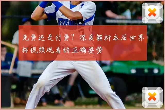 免费还是付费?深度解析本届世界杯视频观看的正确姿势