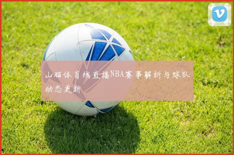 山猫体育线直播NBA赛事解析与球队动态更新