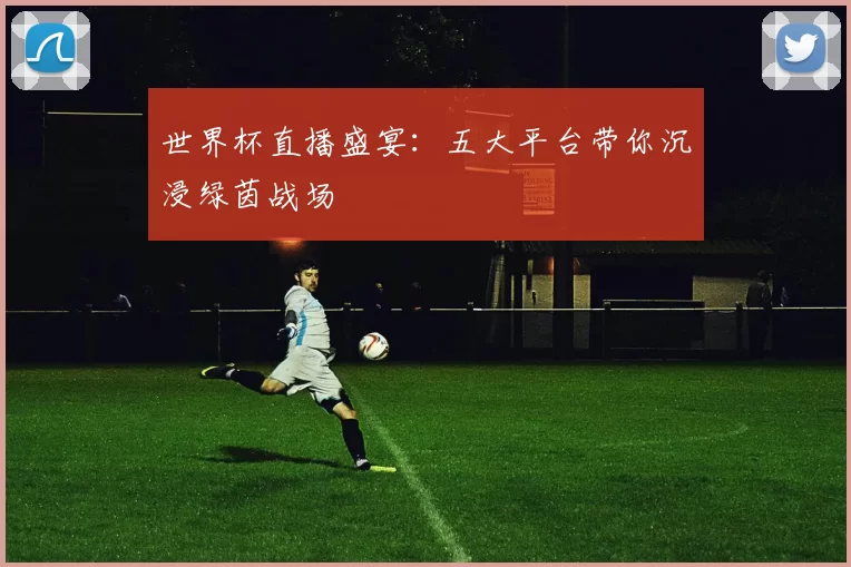 世界杯直播盛宴：五大平台带你沉浸绿茵战场