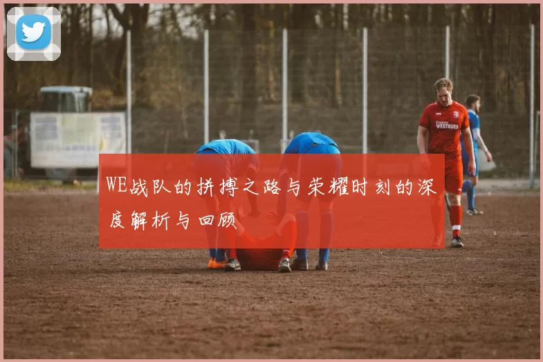 WE战队的拼搏之路与荣耀时刻的深度解析与回顾