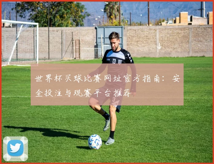 世界杯买球比赛网址官方指南：安全投注与观赛平台推荐