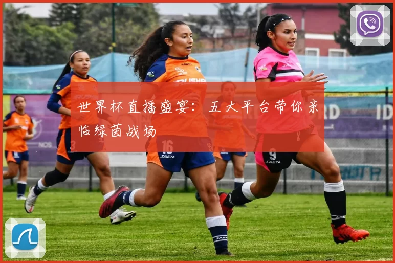 世界杯直播盛宴:五大平台带你亲临绿茵战场