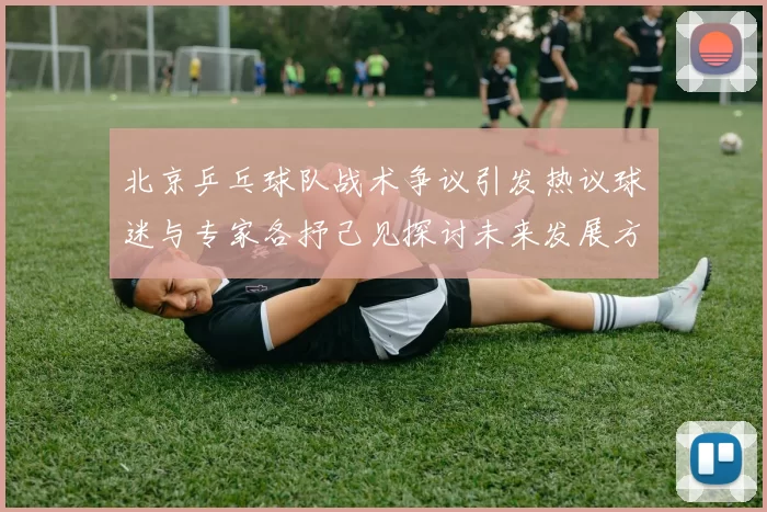 北京乒乓球队战术争议引发热议球迷与专家各抒己见探讨未来发展方向