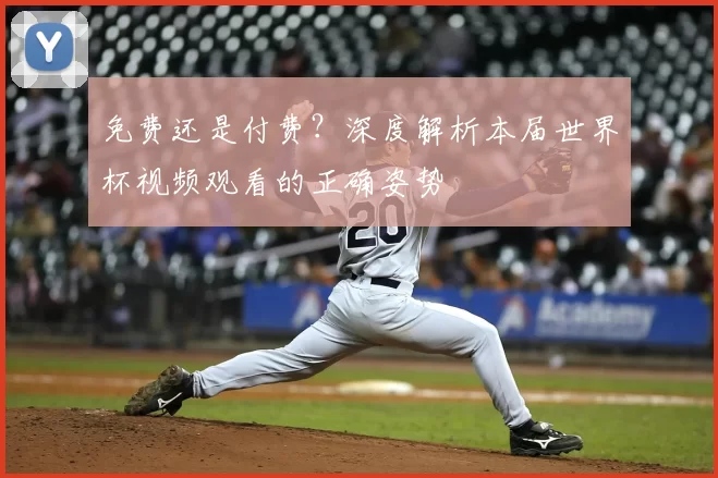 免费还是付费？深度解析本届世界杯视频观看的正确姿势