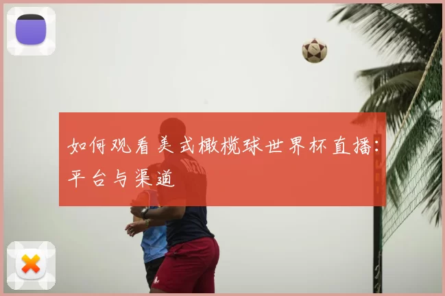 如何观看美式橄榄球世界杯直播：平台与渠道