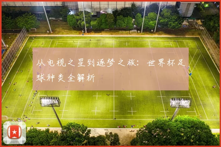 从电视之星到逐梦之旅:世界杯足球种类全解析