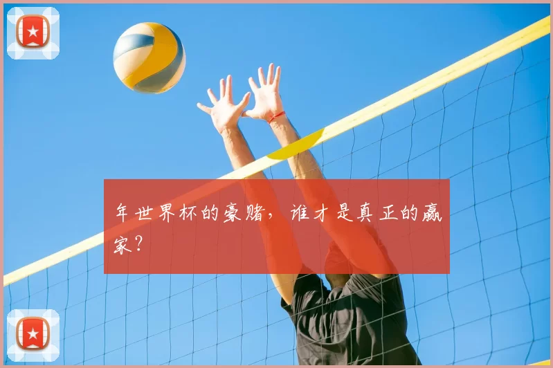 年世界杯的豪赌,谁才是真正的赢家?