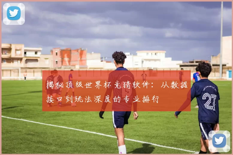 揭秘顶级世界杯竞猜软件:从数据接口到玩法深度的专业排行
