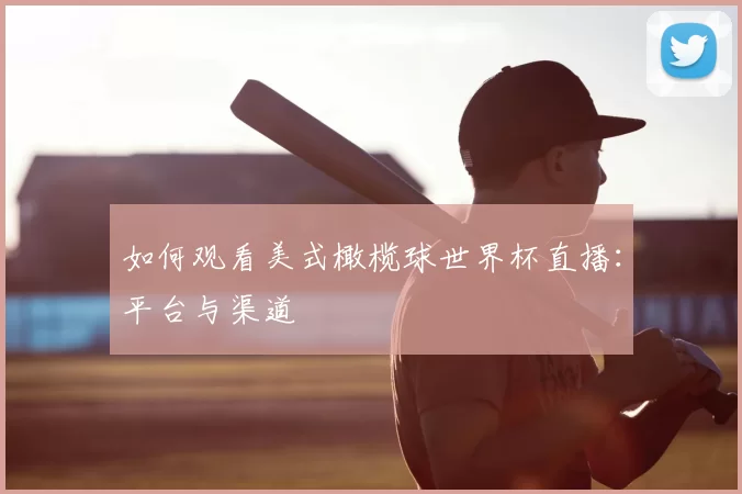 如何观看美式橄榄球世界杯直播:平台与渠道