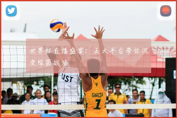 世界杯直播盛宴:五大平台带你沉浸绿茵战场