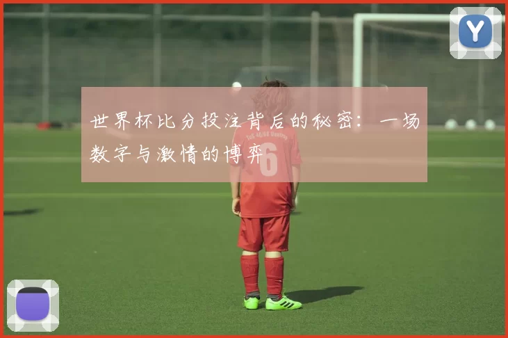 世界杯比分投注背后的秘密:一场数字与激情的博弈