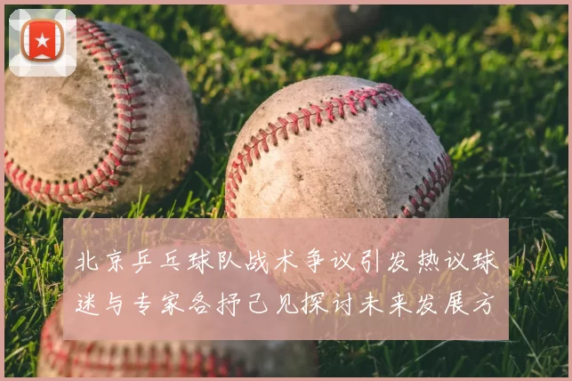 北京乒乓球队战术争议引发热议球迷与专家各抒己见探讨未来发展方向