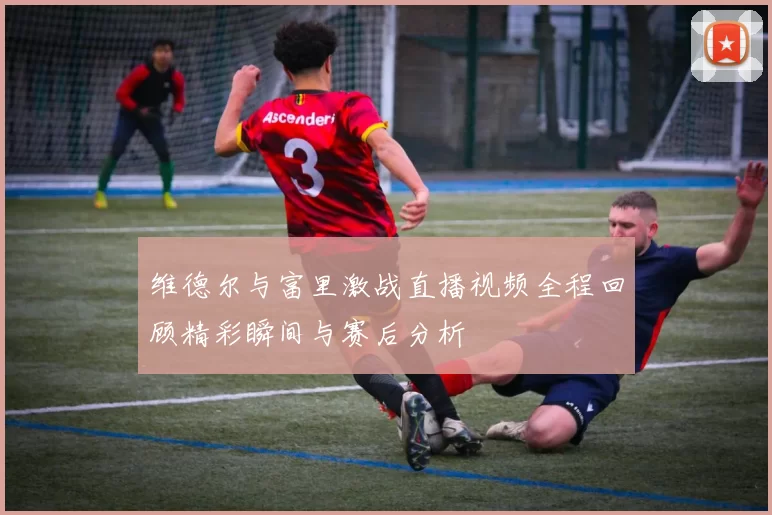 维德尔与富里激战直播视频全程回顾精彩瞬间与赛后分析