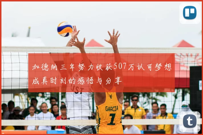 加德纳三年努力收获507万认可梦想成真时刻的感悟与分享