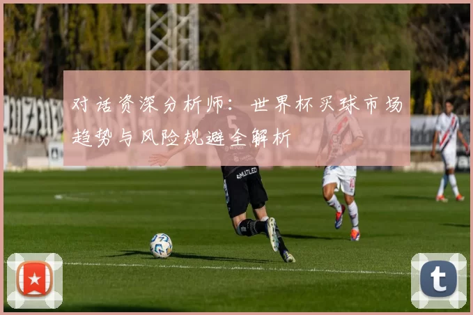 对话资深分析师：世界杯买球市场趋势与风险规避全解析